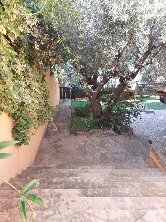 L'Orchidea Villa Capitana Dış mekan fotoğraf